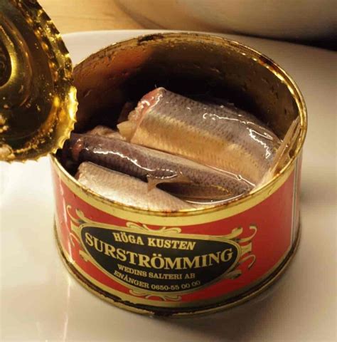 worst smelling fish in a can|What is Surströmming and how to eat this smelly fish